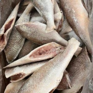 Croaker Fish 25lbs