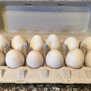 Farm Fresh Eggs (Dozen)