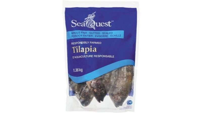 seaquest-whole-tilapia Seaquest Whole Tilapia 1.36kg